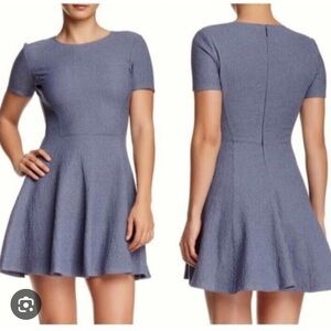 Elegant Blue theory Women's Dress